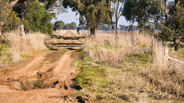 Muddy dirt track through rural farm paddock