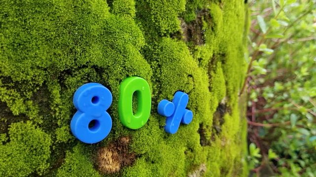 Green eighty and blue percent symbol displayed on a mossy tree trunk outdoors moss nature ecology