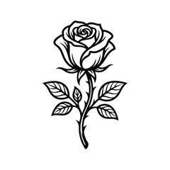 Fototapeta premium Black and white rose flower line art drawing illustration with stem and leaves isolated on white background