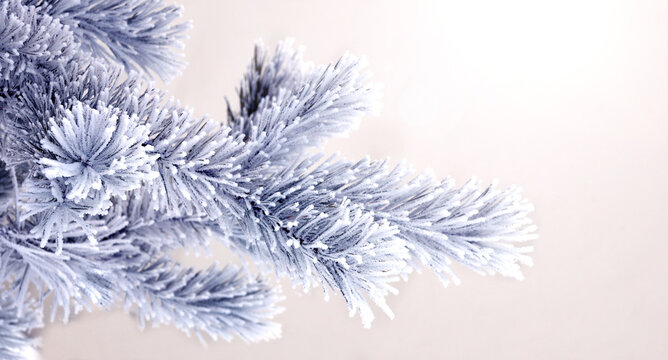 Horizontal Christmas background with pine branch, covered with frost. Holiday winter banner with frozen branches of fir tree. Festive banner featuring a frosted fir branch. Photo toned in retro style