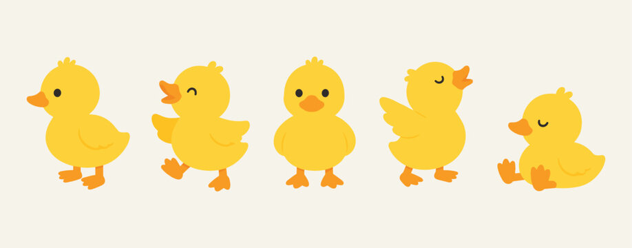 Set of Cute Little Duck Cartoon Illustrations Character Poses