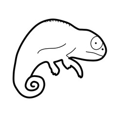 chameleon Africa Animal Habitat Hand drawn Organic line © khulisara
