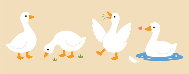 Obraz premium Cute white goose and duck character set in different poses, farm animal illustration