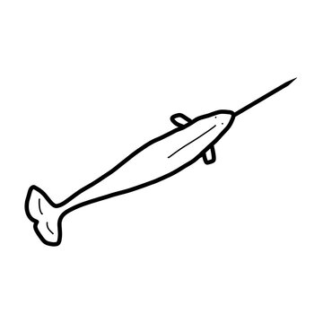 narwhale northern Asia Animal Habitat Hand drawn Organic line