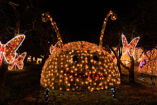 Bright decorations of a bee and butterflies shine in a garden at night