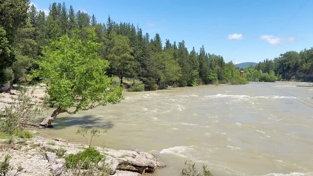 Wild Mountain River Flowing Between Rocky Banks with Green Trees &ndash; Serene Natural Landscape