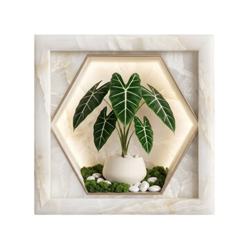 Green alocasia houseplant in a decorative hexagon marble wall frame with warm lighting isolated on transparent background