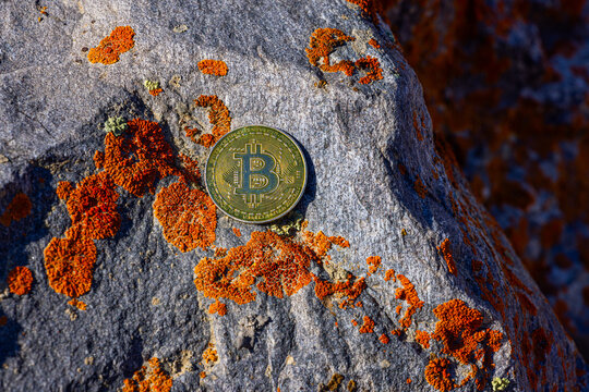 Gold Bitcoin Coin on Textured Rock with Lichen