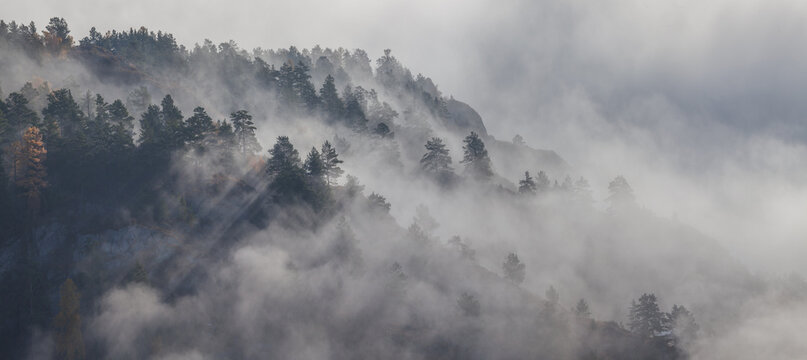 Autumn forest in fog, forested hill, aerial view