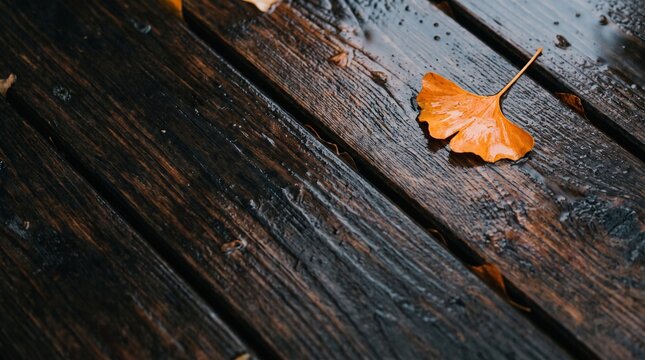 Autumn fallen leaf on wet wooden deck