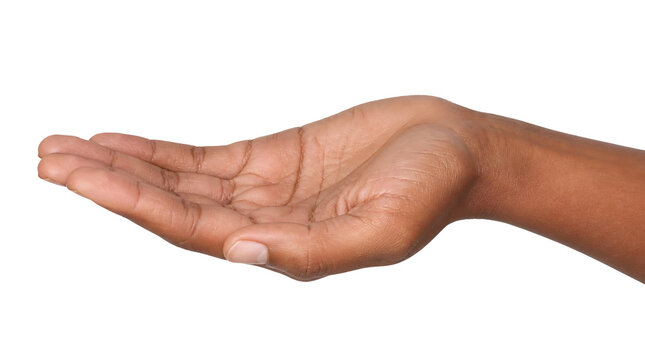 Open Hand Offering Support or Receiving Something