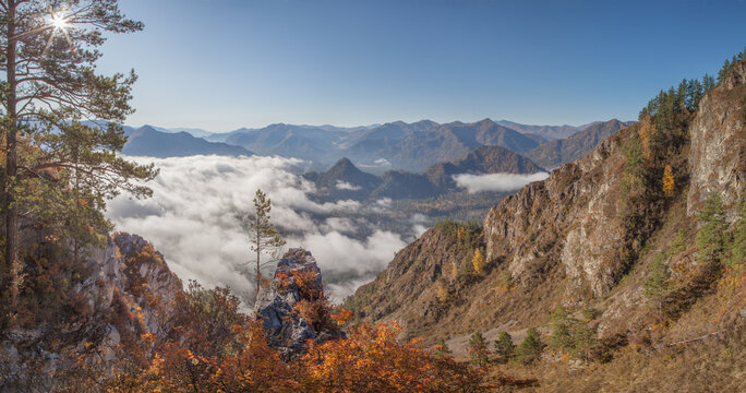 Autumn view, colorful vegetation and fog
