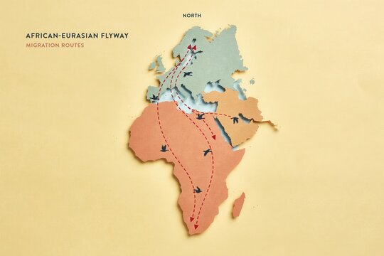 Papercraft map showing the African-Eurasian flyway migration routes for birds between continents