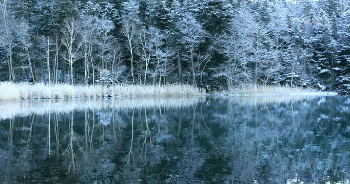 新雪の朝のオンネトー