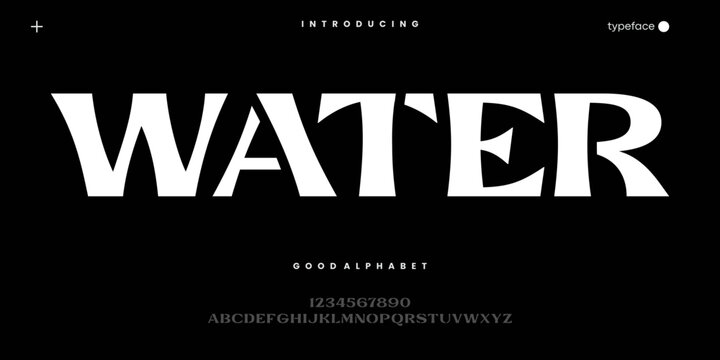 Bold Display Font for Modern Branding Posters and Creative Typography