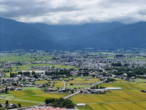 Vast valley sprawls beneath misty mountain peaks. Golden rice fields stretch toward clustered villages. Houses dot the landscape, nestled in green patches