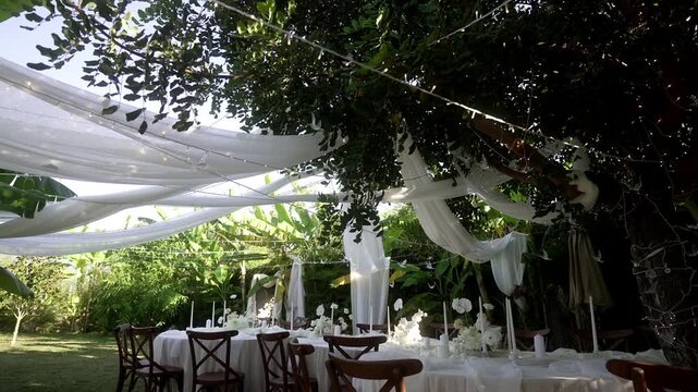 Evening gathering beneath leafy canopy with decorative drapes and lights