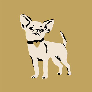 Chihuahua dog standing and posing. Beige background. Hand drawn trendy Vector illustration. Pet care, animal graphic clipart, canine concept. Sticker, logo, print template. Isolated element