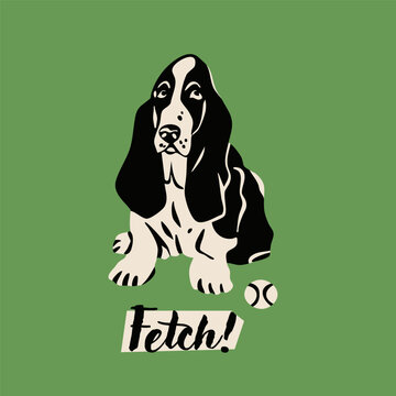 Basset Hound dog sitting near tennis ball. Green background. Hand drawn trendy Vector illustration. Pet care, animal graphic clipart, canine concept. Sticker, logo, print template. Isolated element
