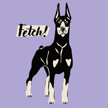 Doberman dog standing and looking. Purple background. Hand drawn trendy Vector illustration. Pet care, animal graphic clipart, canine concept. Sticker, logo, print template. Isolated element