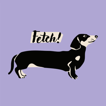 Dachshund dog standing and posing. Purple background. Hand drawn trendy Vector illustration. Pet care, animal graphic clipart, canine concept. Sticker, logo, print template. Isolated element