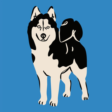 Husky or malamute dog standing and looking. Blue background. Hand drawn trendy Vector illustration. Pet care, animal graphic clipart, canine concept. Sticker, logo, print template. Isolated element