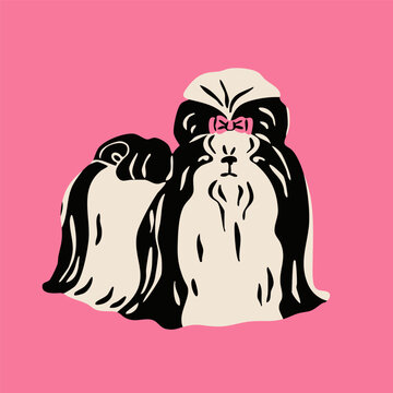 Shih tzu dog standing and looking. Pink background. Hand drawn trendy Vector illustration. Pet care, animal graphic clipart, canine concept. Sticker, logo, print template. Isolated element