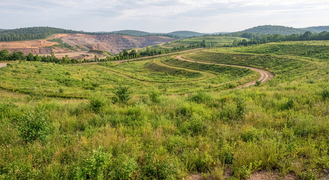 Green Reclaimed Land on Terraces of a Former Open Pit Mine