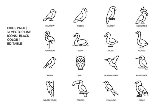Birds species wildlife line icon set vector animal symbols