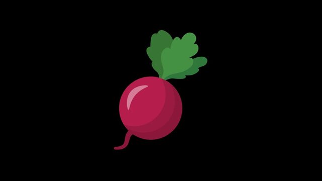 Radish Root Vegetable Floating Loop Animation on Transparent Alpha Channel Representing Healthy Garden Harvest Foods