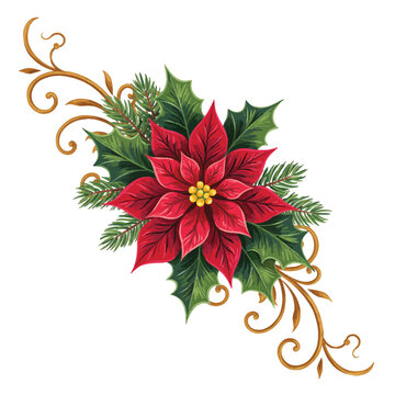 Christmas poinsettia flower arrangement with red petals green holly leaves pine branches and golden swirl floral decorations.