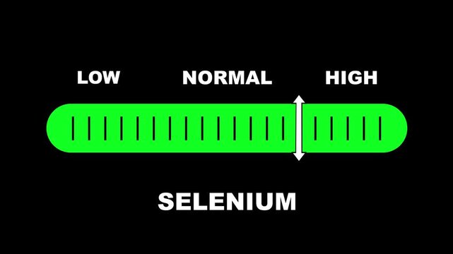Selenium level indicator scale. Low normal & high meter infographic animation on black background. Showing high selenium level color gauge indicator for nutrition and antioxidant health monitoring.