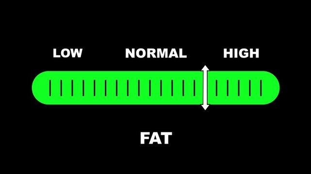 Fat level indicator scale. Low normal high meter infographic animation on black background. Showing high fat level color gauge indicator for body composition and health monitoring
