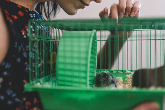 Pet hamster in cage with owner in background