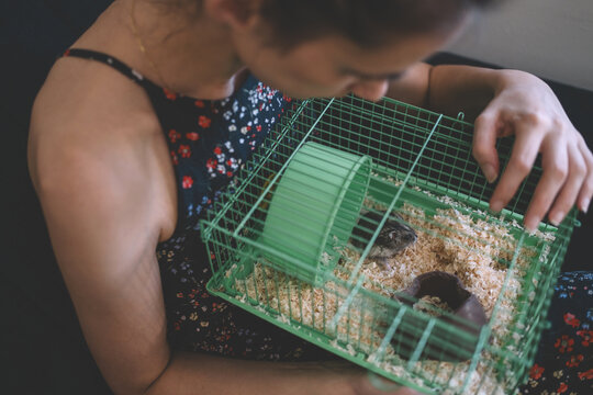 Close up of hamster in cage with female owner