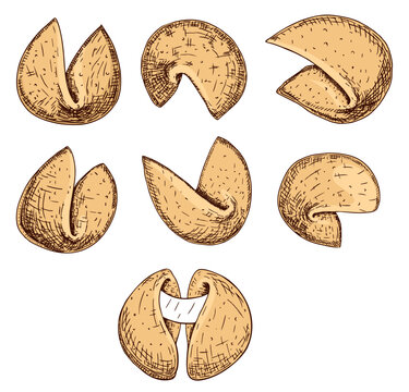 Hand drawn chinese fortune cookie isolated on white backgrounds. Illustration crispy biscuit treat set. Crisp cookie with a blank piece of paper inside. For print, web, design, decor, logo.