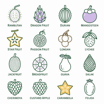 Exotic Tropical Fruits Illustrated Collection of Rare Varieties