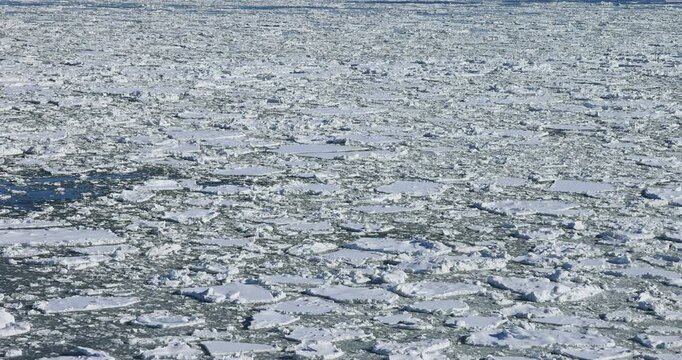 能取岬からオホーツク海の流氷