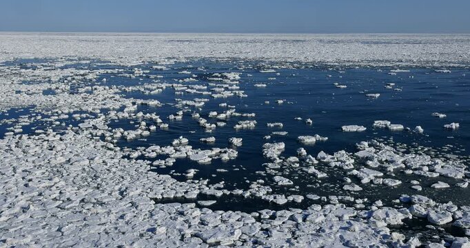 能取岬からオホーツク海の流氷
