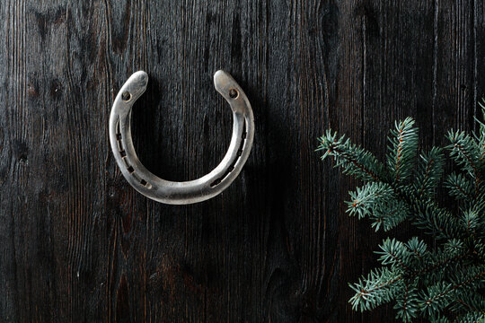 Old horseshoe and spruce branches on a black wooden background.
