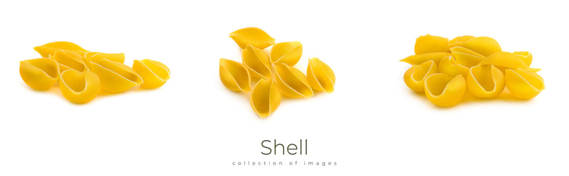 Uncooked shell pasta isolated on white background.