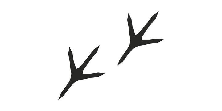 Black bird footprint silhouettes isolated on transparent background for wildlife tracking design.