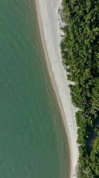 Florian&oacute;polis, Daniela Beach. Aerial View of Tropical Coastline. Establishing Shot. Santa Catarina, Brazil. Vertical video