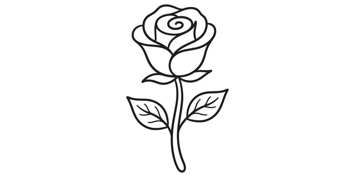 Rose flower line art illustration featuring black botanical contour sketch.