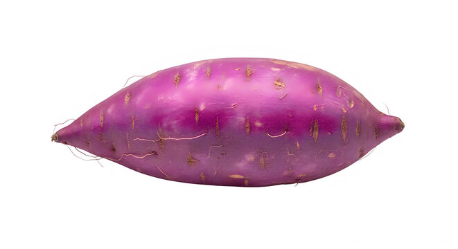 Purple kidney bean close-up on plain background isolated on transparent background