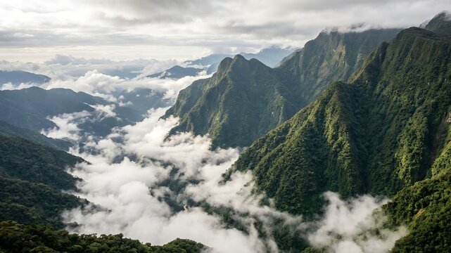 Dramatic Steep Cloud Forest Mountains Blanketed in Dense Green Jungle