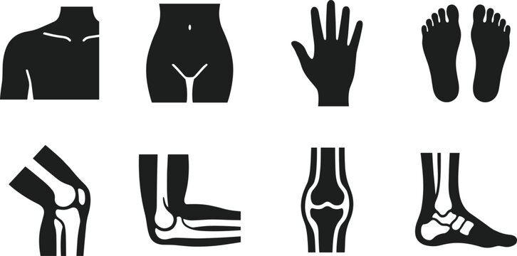 Human body parts and joints icon set vector illustration featuring torso hand feet knee elbow ankle bones isolated on white background