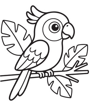Hand Drawn Exotic Parrot On Tree Branch Vector Line Art Tropical Bird Black And White Monstera Palm Leaf Illustration Clipart.