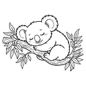 Cute Sleeping Baby Koala Bear on Eucalyptus Branch Line Art Vector Outline Illustration Printable Coloring Page Sheet for Kids