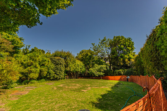 Lush green lawn area enclosed by vibrant trees under a clear sky at Mejiro Garden May 2024